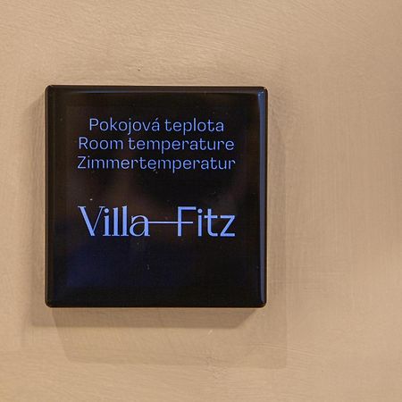Villa Fitz Рокицани Экстерьер фото
